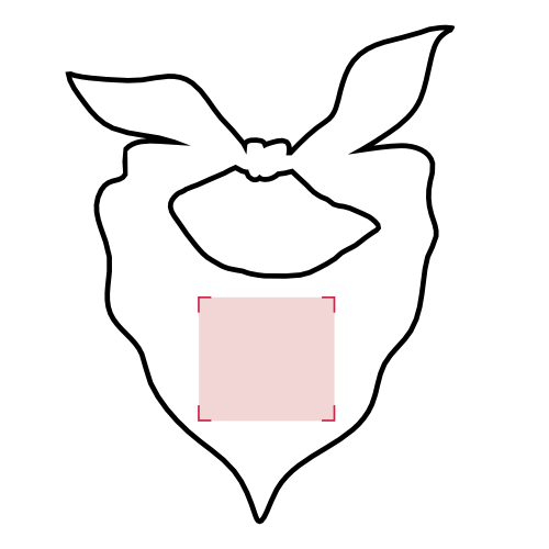 Zone d'impression