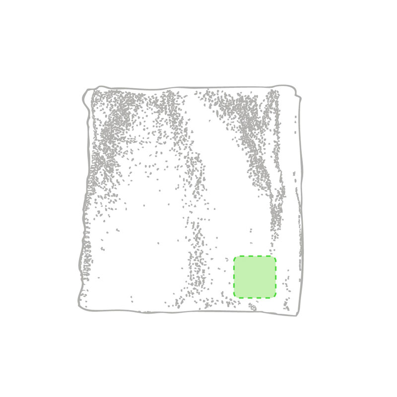 Zone d'impression