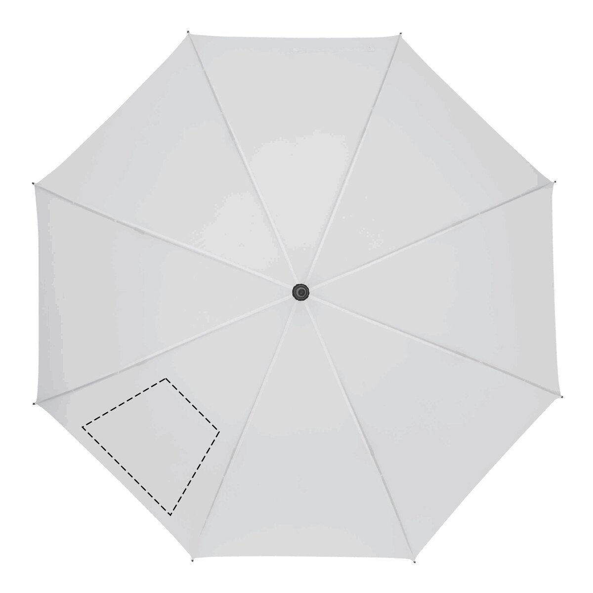 Droite: 100cm²