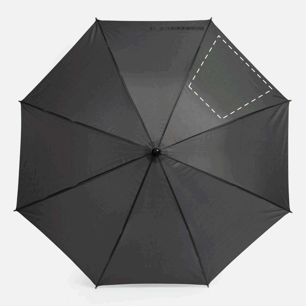 Avant: 280/180x230mm (529cm²)