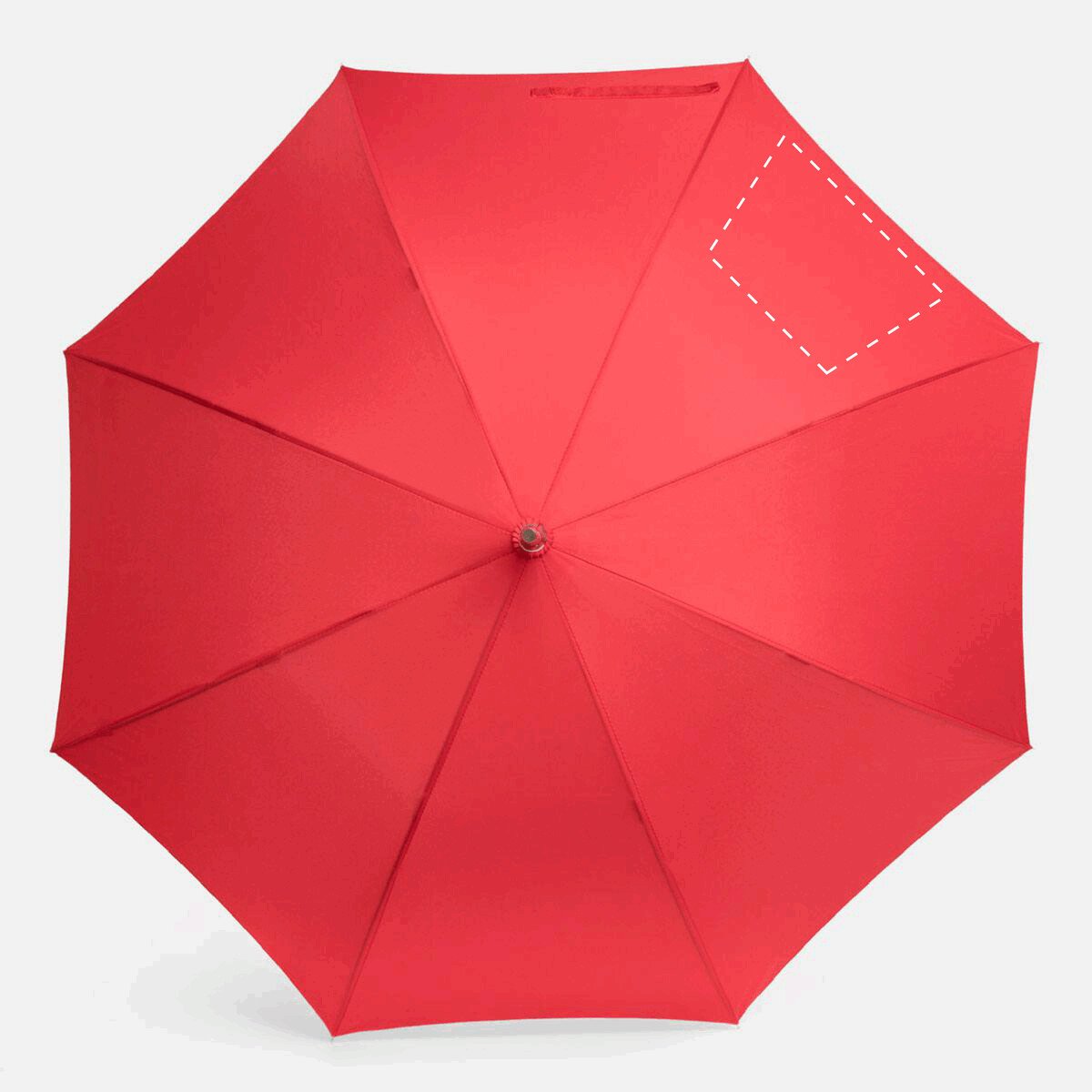 Avant: 50cm²
