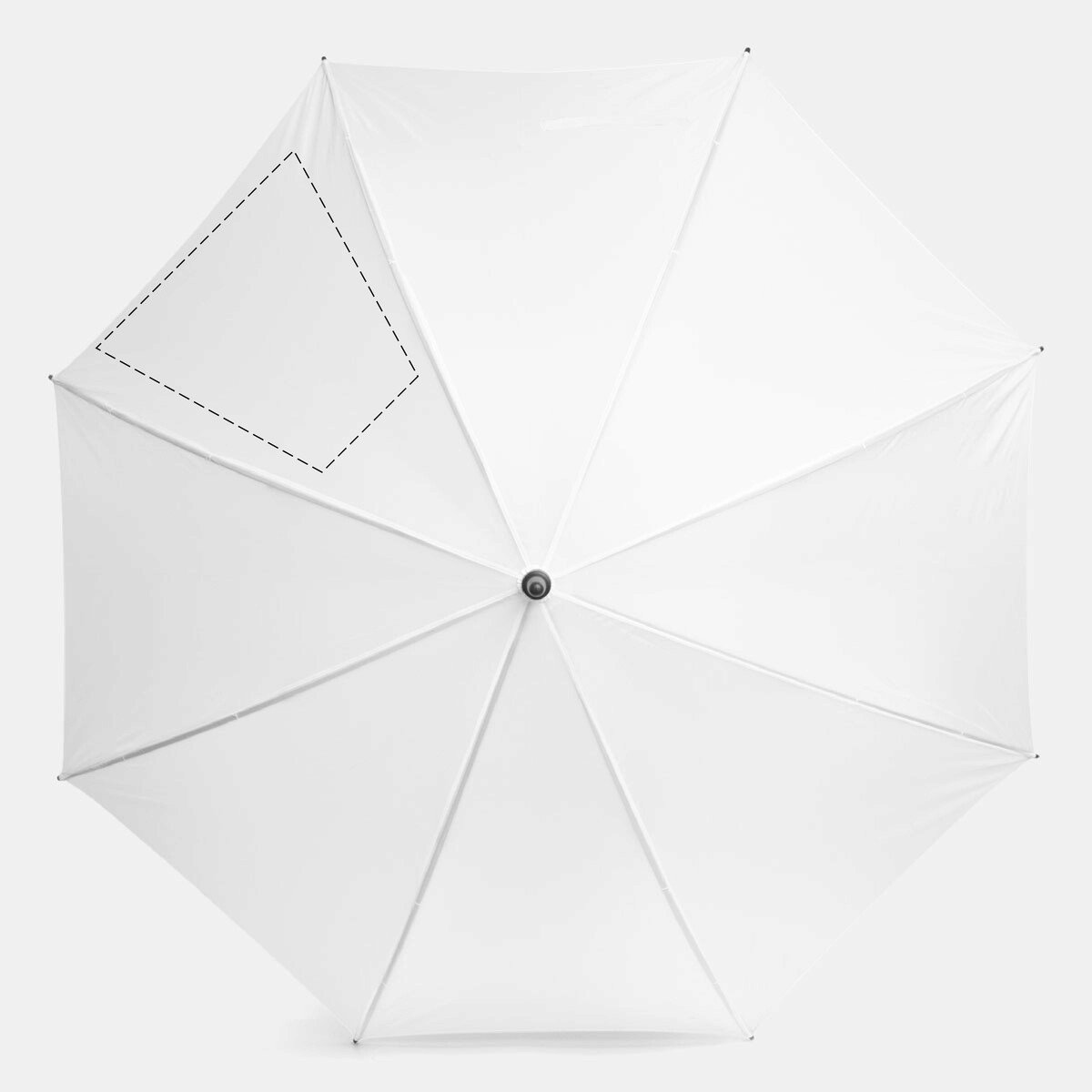 Avant: 300cm²