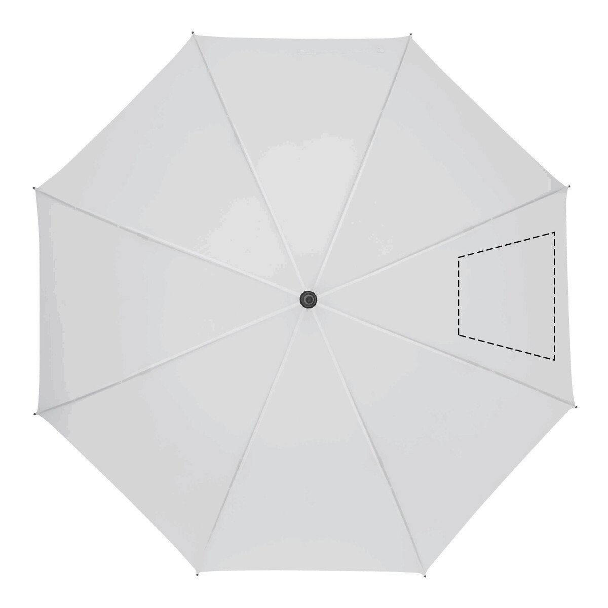 Avant: 50cm²