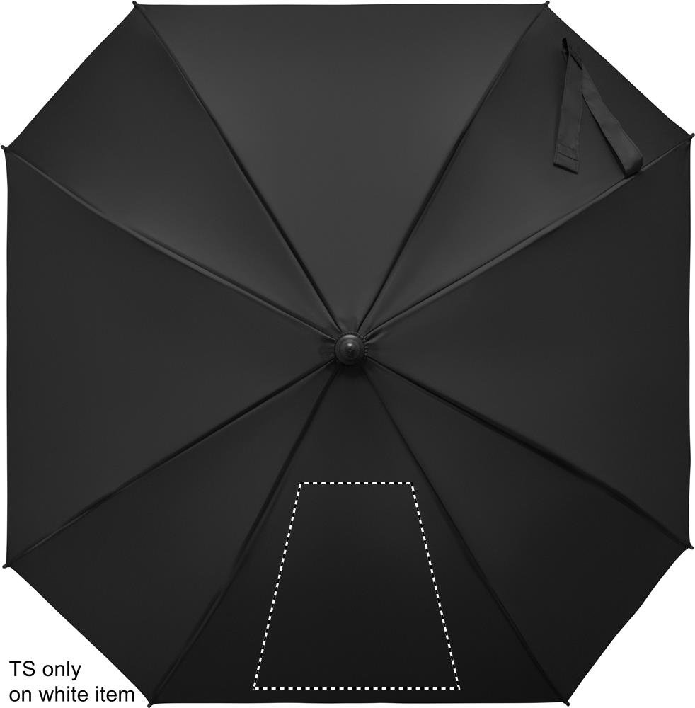 Avant: 260x260 mm