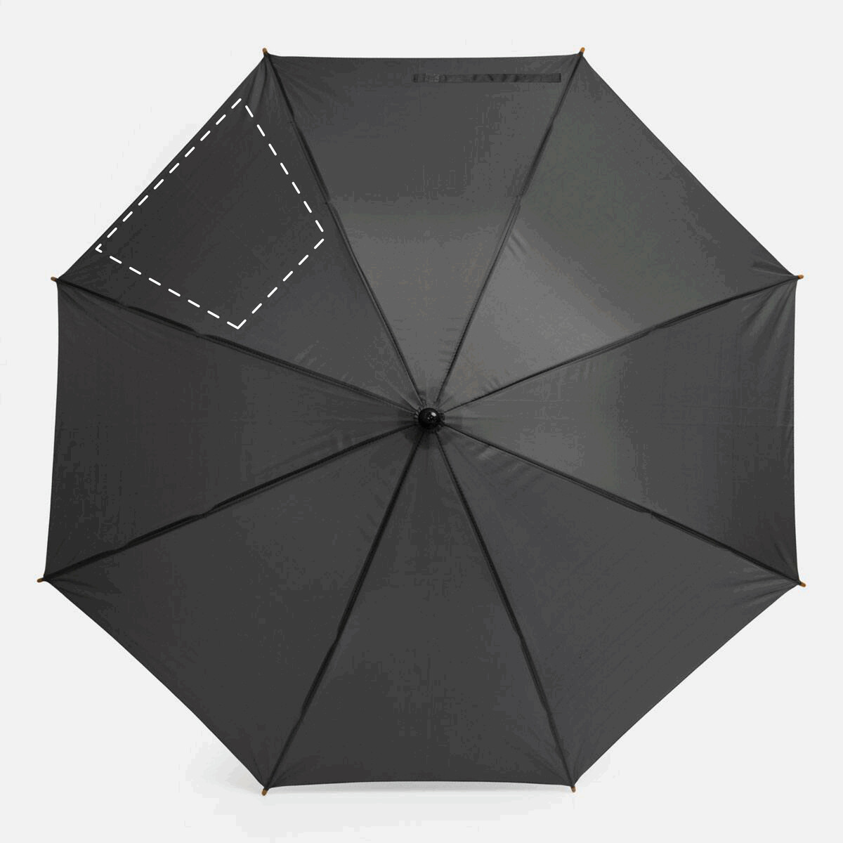 Arrière: 50cm²