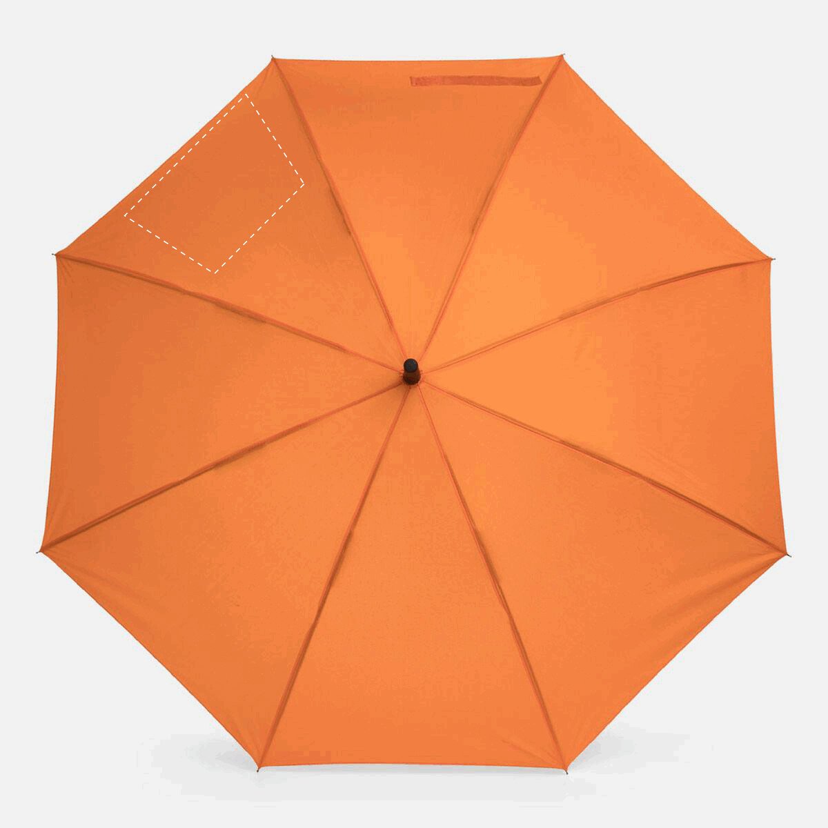 Arrière: 50cm²
