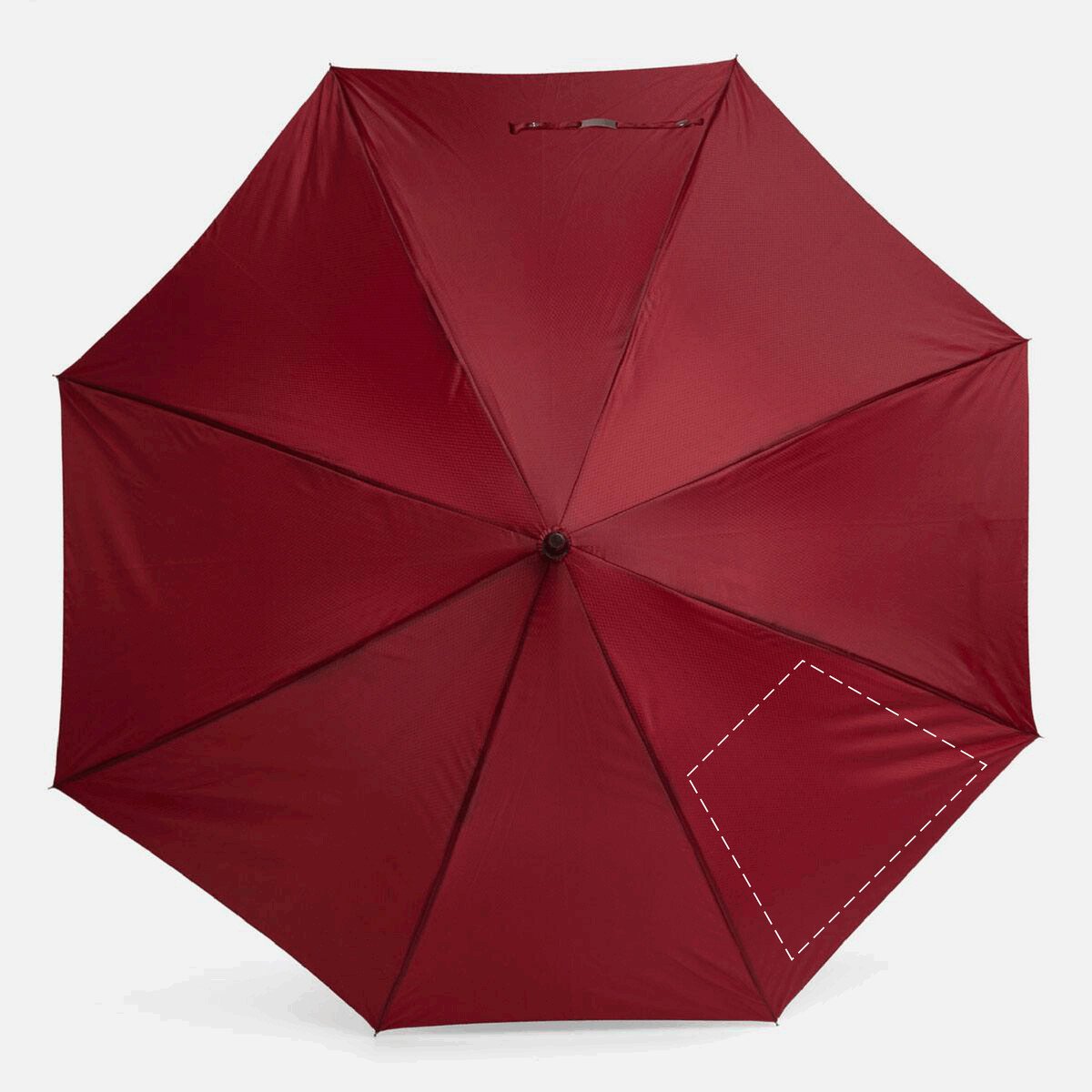 Arrière: 260/170x150mm (323cm²)