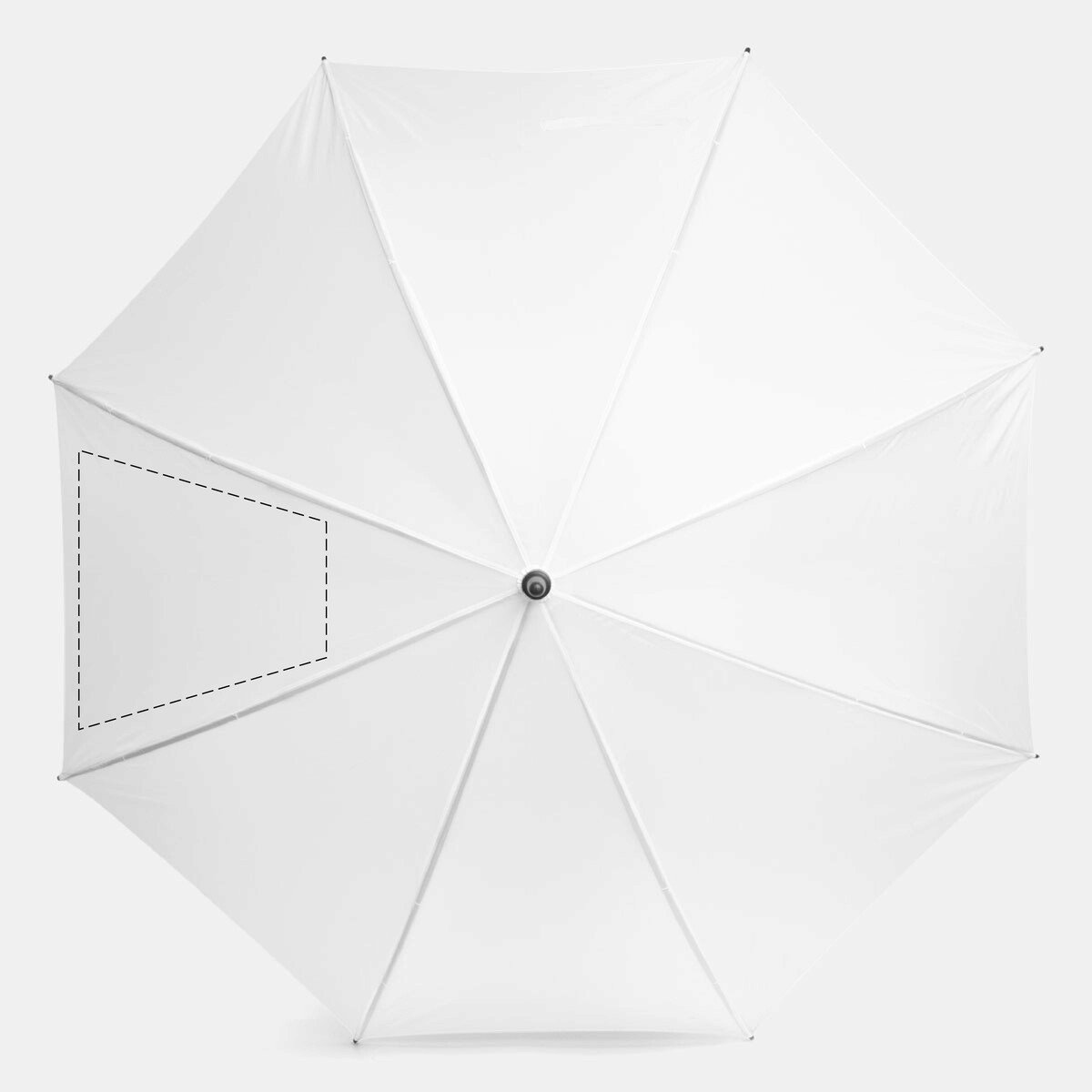 Arrière: 300cm²