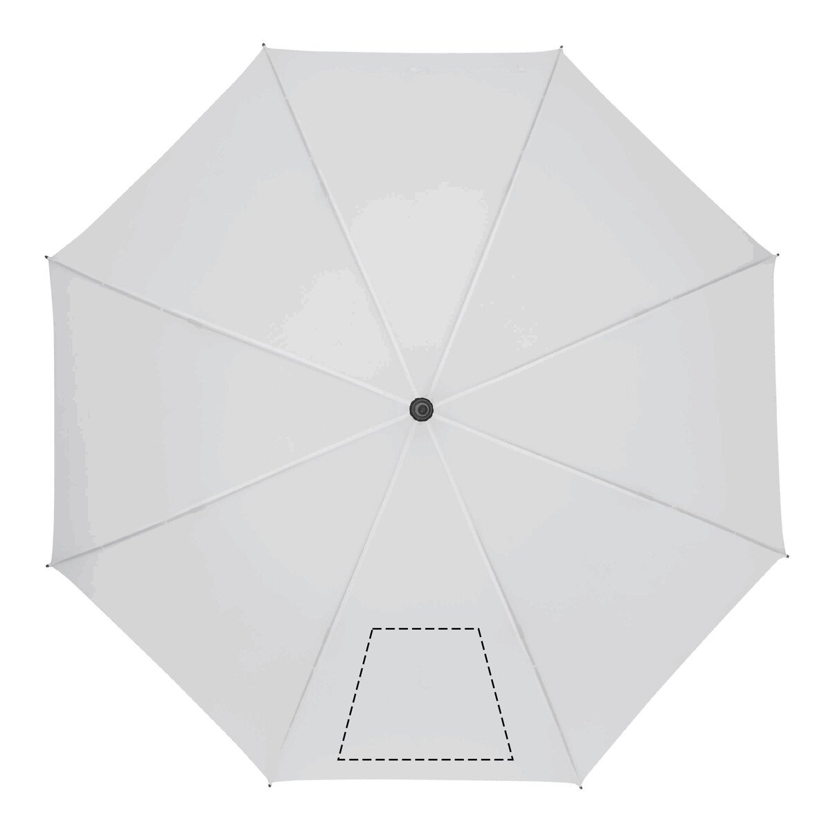 Arrière: 50cm²
