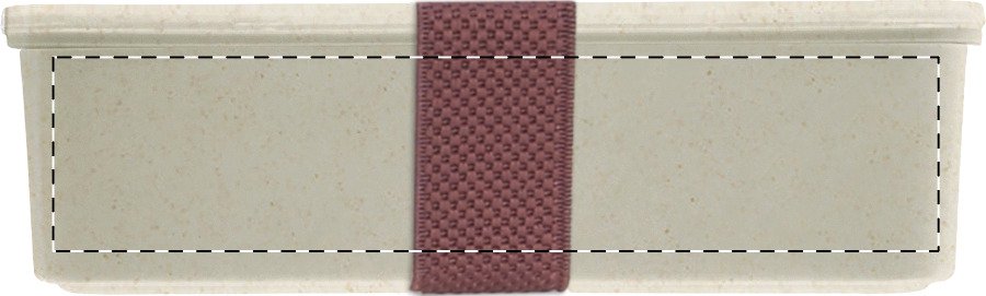 Arrière: W:50 mm x H:30 mm x D:0 mm