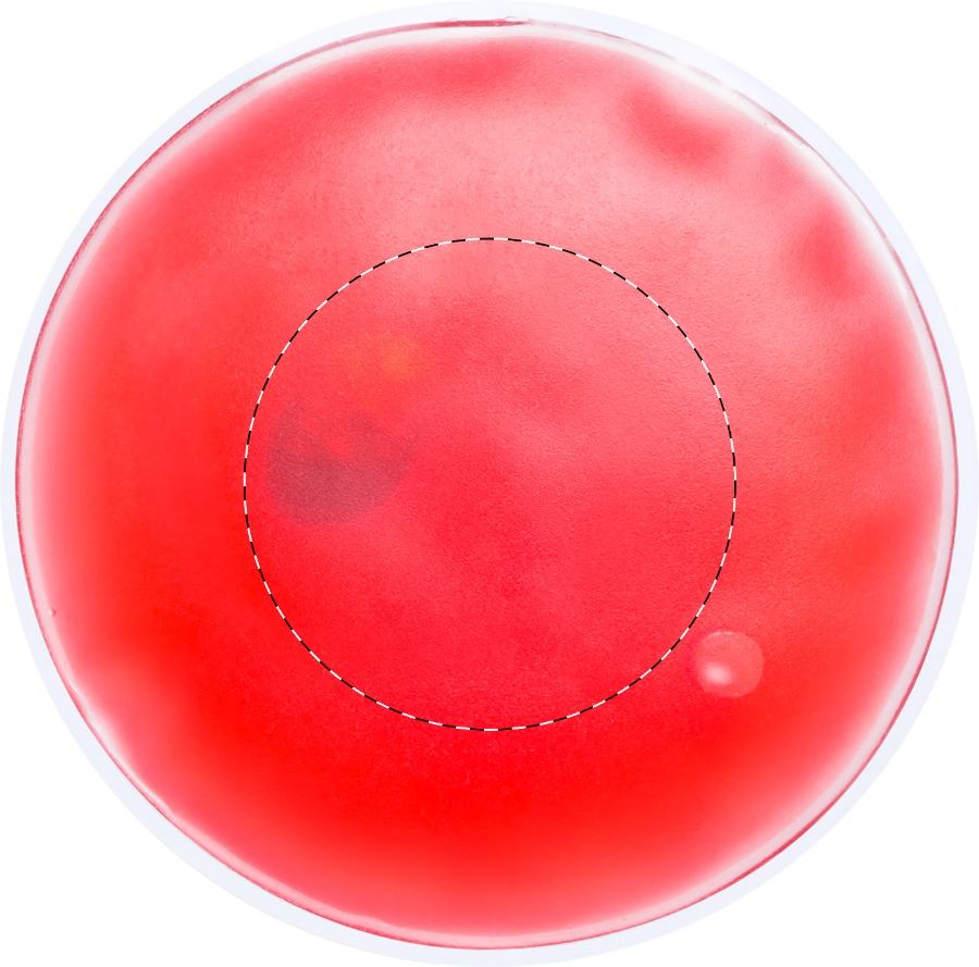 Arrière: W:0 mm x H:0 mm x D:50 mm