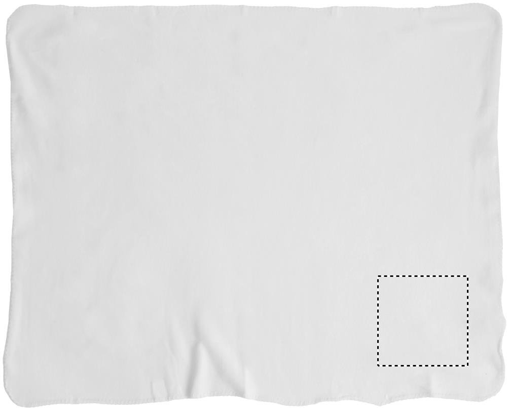 Arrière: 270x270 mm