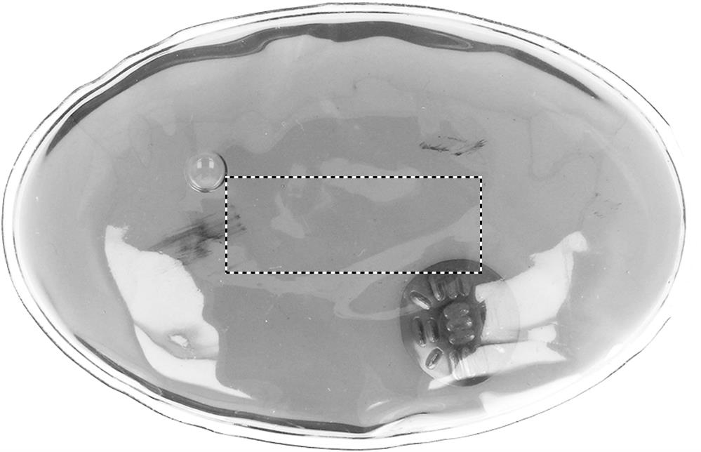 Arrière: 40x15 mm