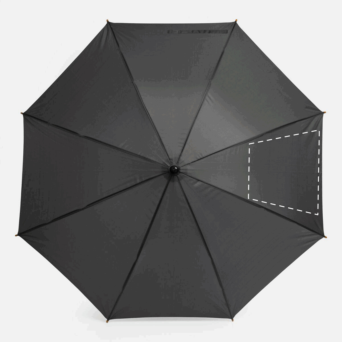 Gauche: 300cm²