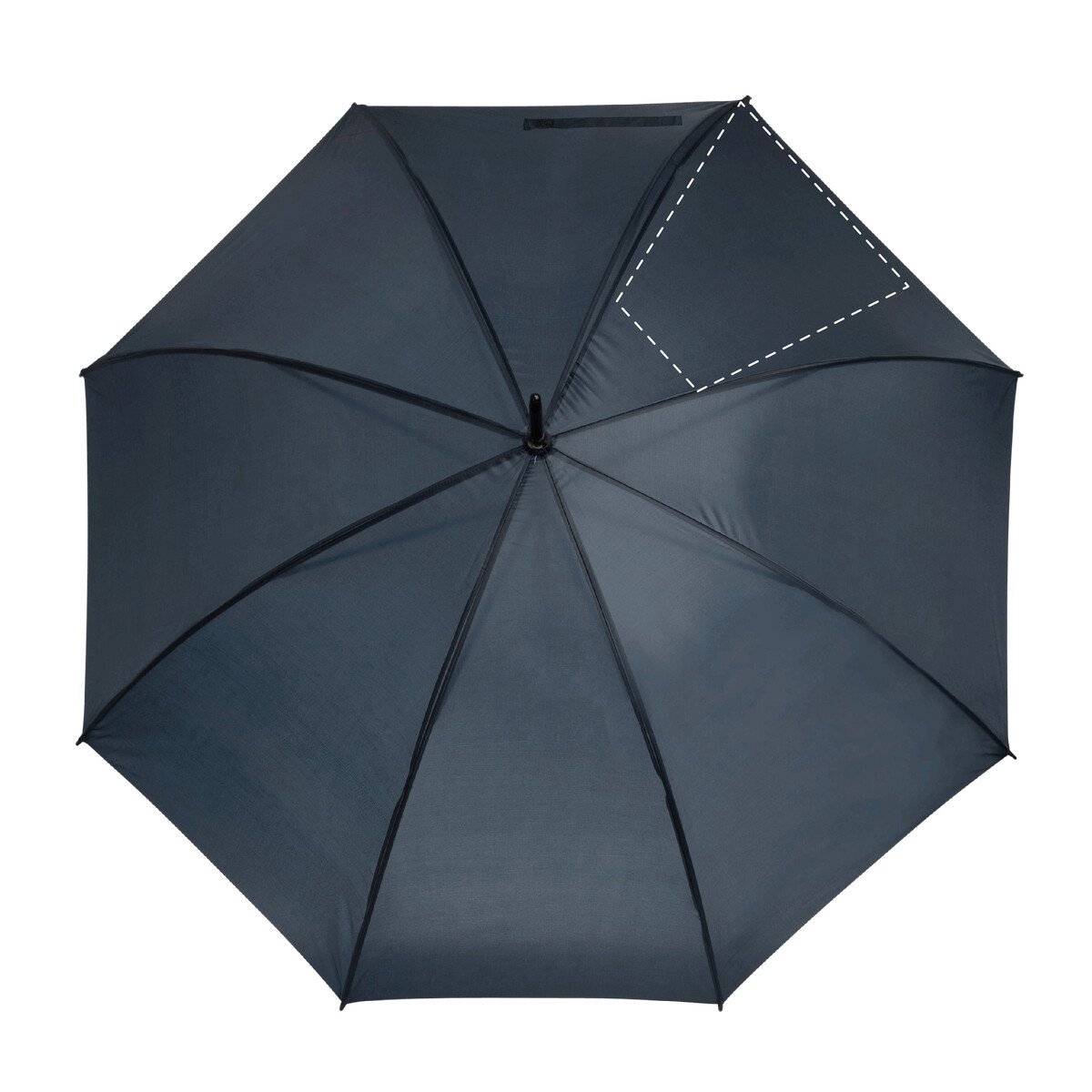 Gauche: 160 x 300 mm