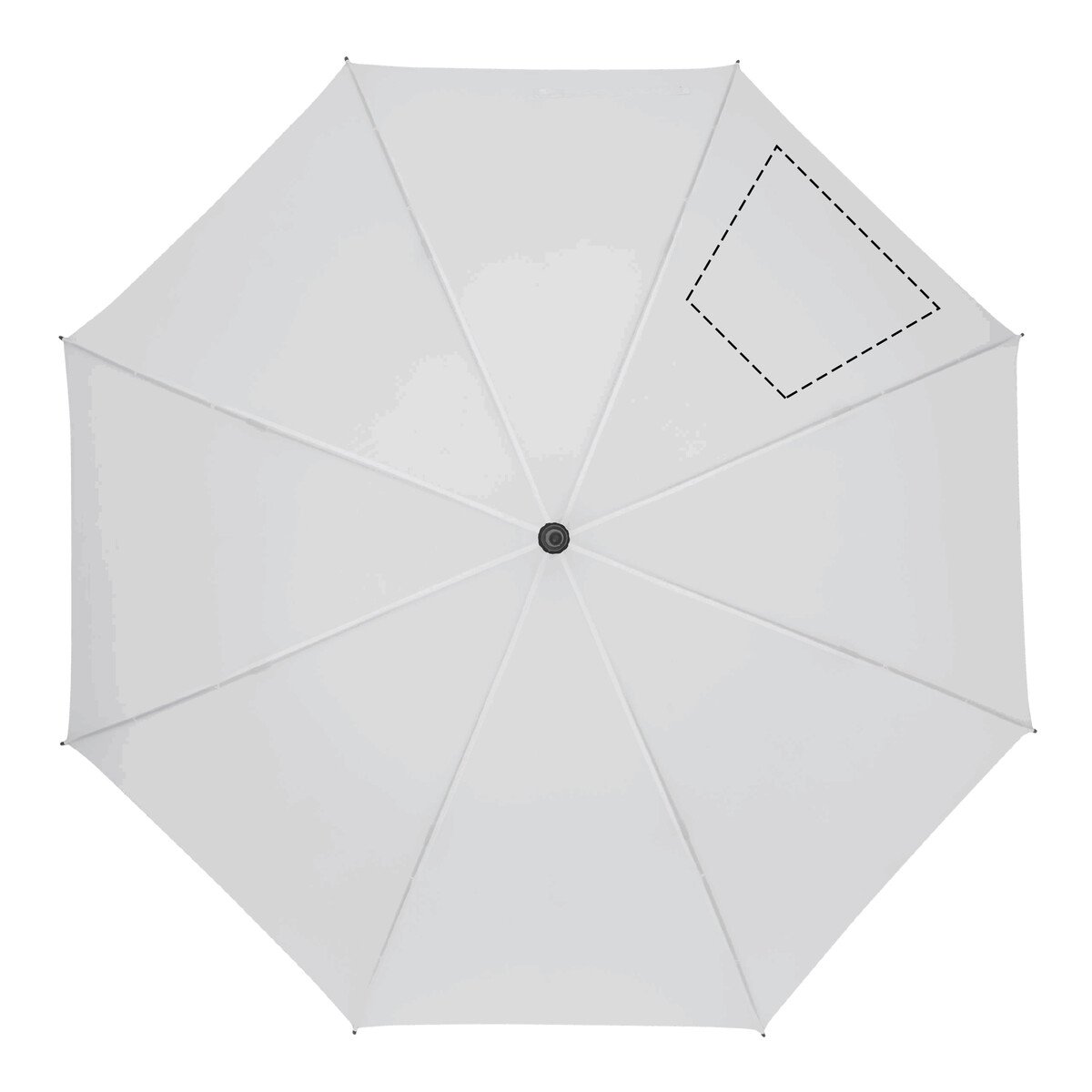 Gauche: 280/170x210mm (473cm²)